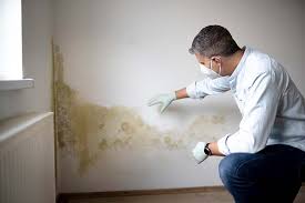 Why You Should Choose Our Mold Remediation Services in Shelbyville, IN